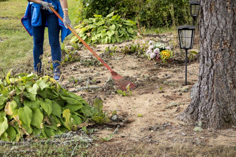 Contact About Land Clearing