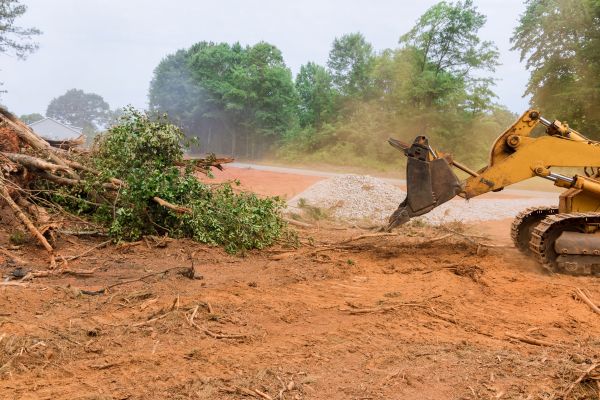 Ground Clearing in Easley