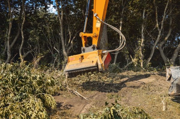 Brush Removal Service in Easley