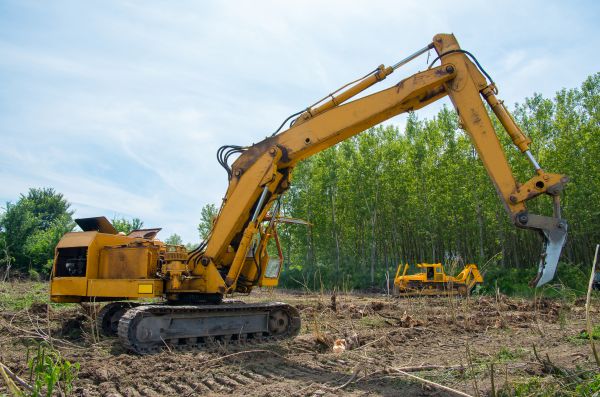 Farm Clearing in Easley