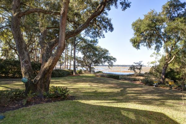 Lakefront Property Clearing in Easley