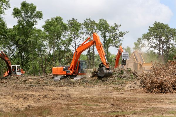 Commercial Lot Clearing in Easley