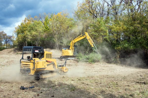 Terrain Clearing in Easley